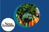 NL_VegetablesLosingNutrients_Index
