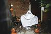 Spooky encounter