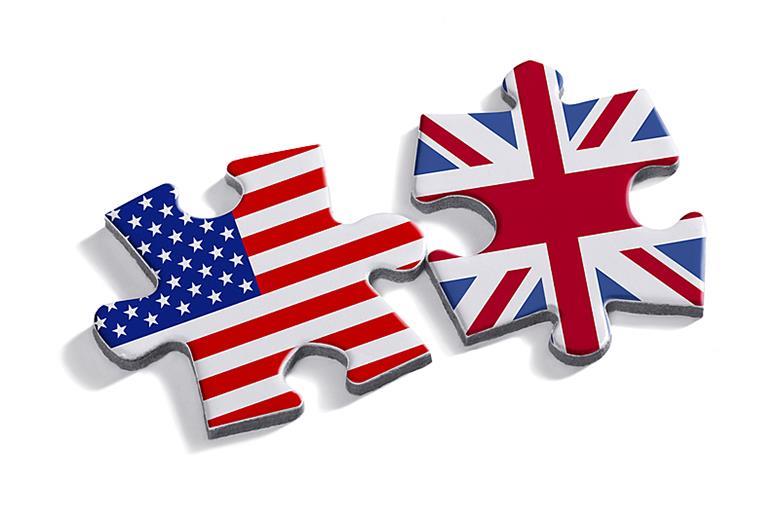 Differences in American and British English grammar - article, Article