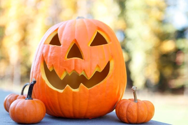 Webquest Halloween Article Onestopenglish