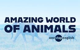 OSE_CLIL_AmazingWorldofAnimals_Index