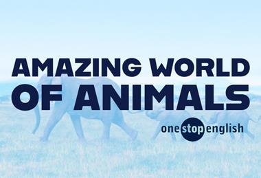 OSE_CLIL_AmazingWorldofAnimals_Index