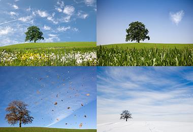 Photo of different weathers or seasons. If it's too hard to have one with more than one season, than just a photo of one season or one type of weather.