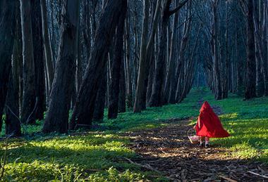 Photo of fairytale or fantasy character/s.