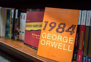 Books in library case